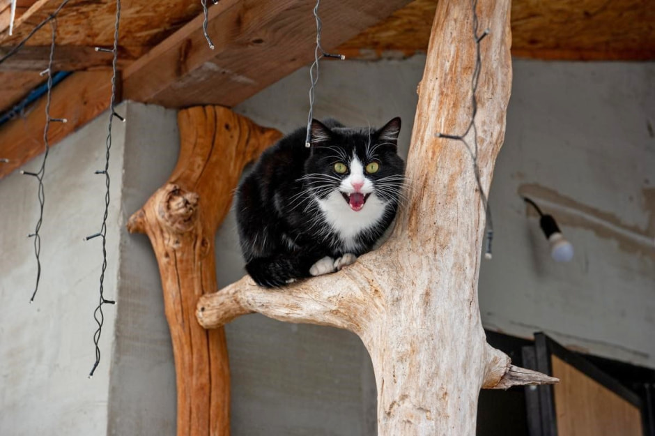 Семья кузнеца в Беловежской пуще 8.jpg