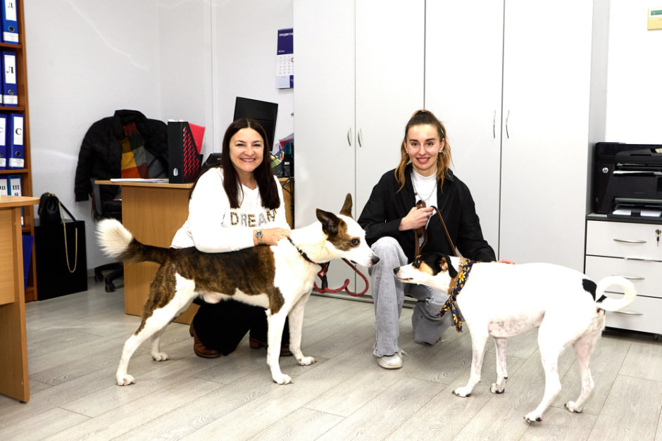 Мтбанк звери 5.jpg