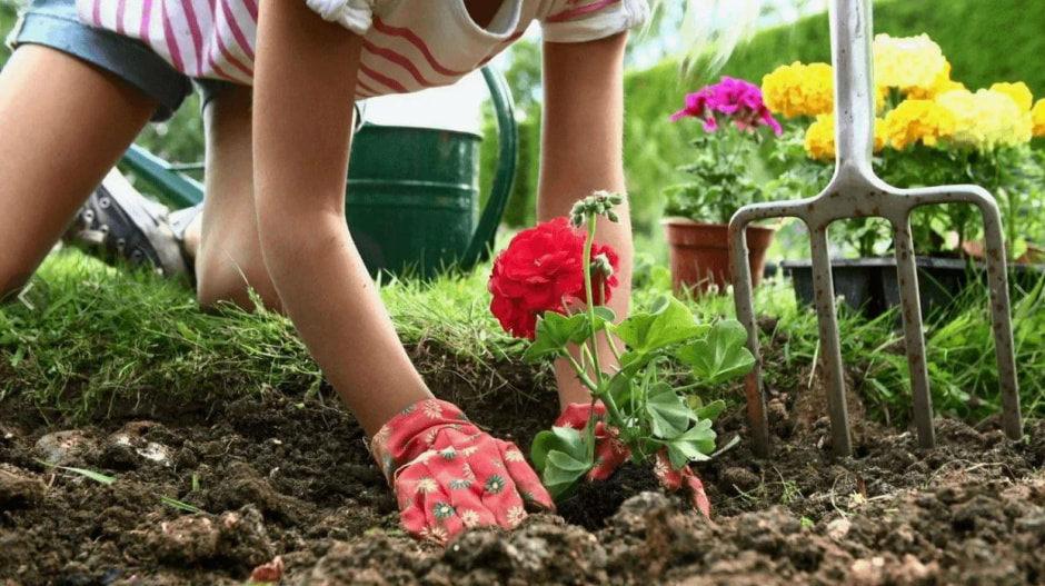 Лунный календарь огородника.jpg