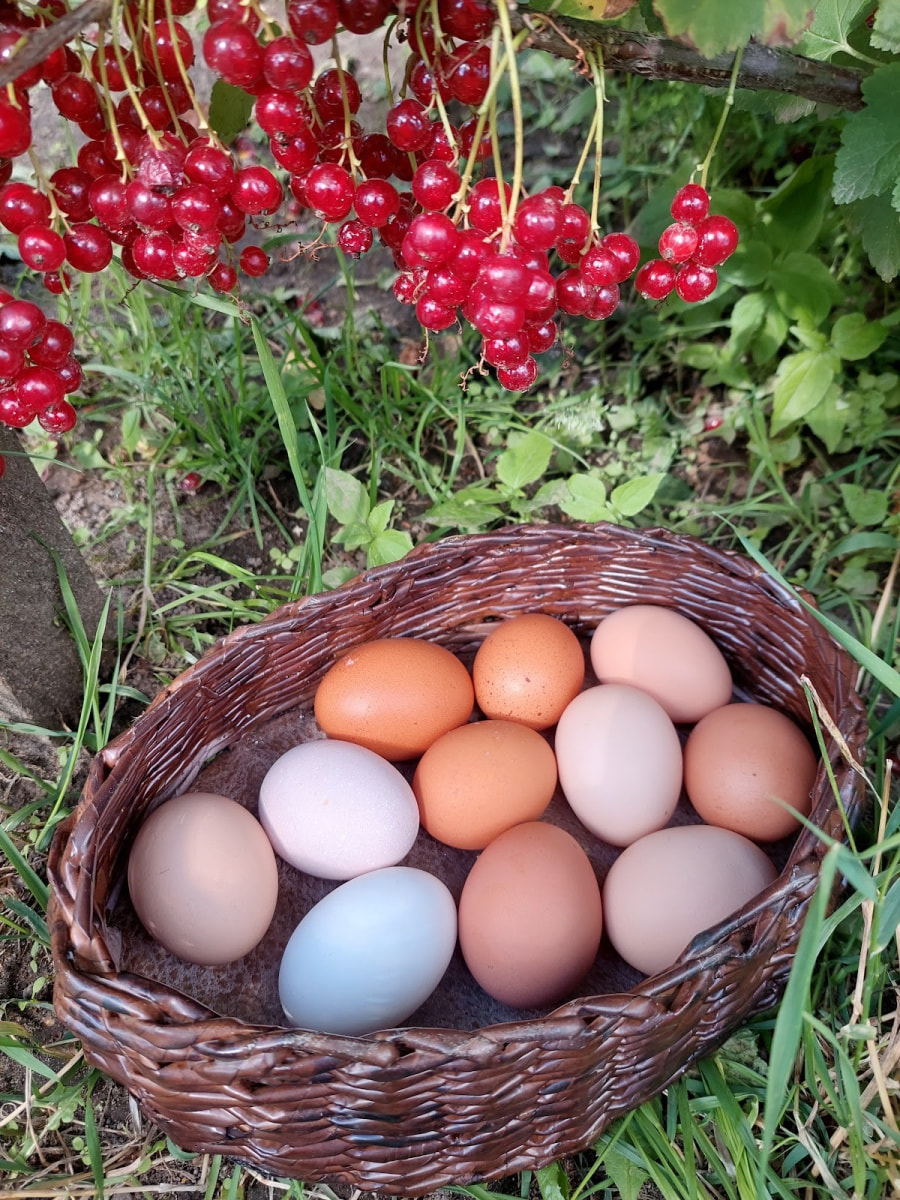 Лето в деревне 15.jpg