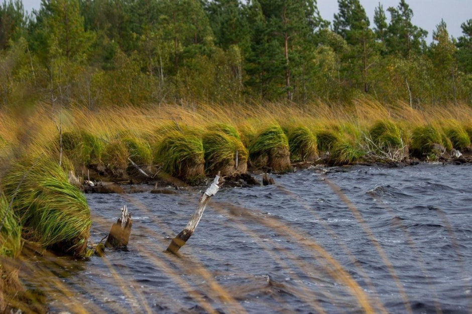 5-Ветренный день на озере Белое.jpg
