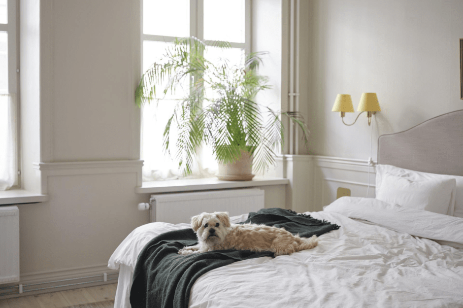 Весеннее преображение_6.png