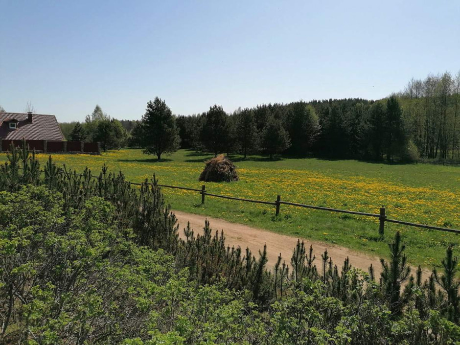 участок Бабарико1.jpg участок Бабарико1.jpg