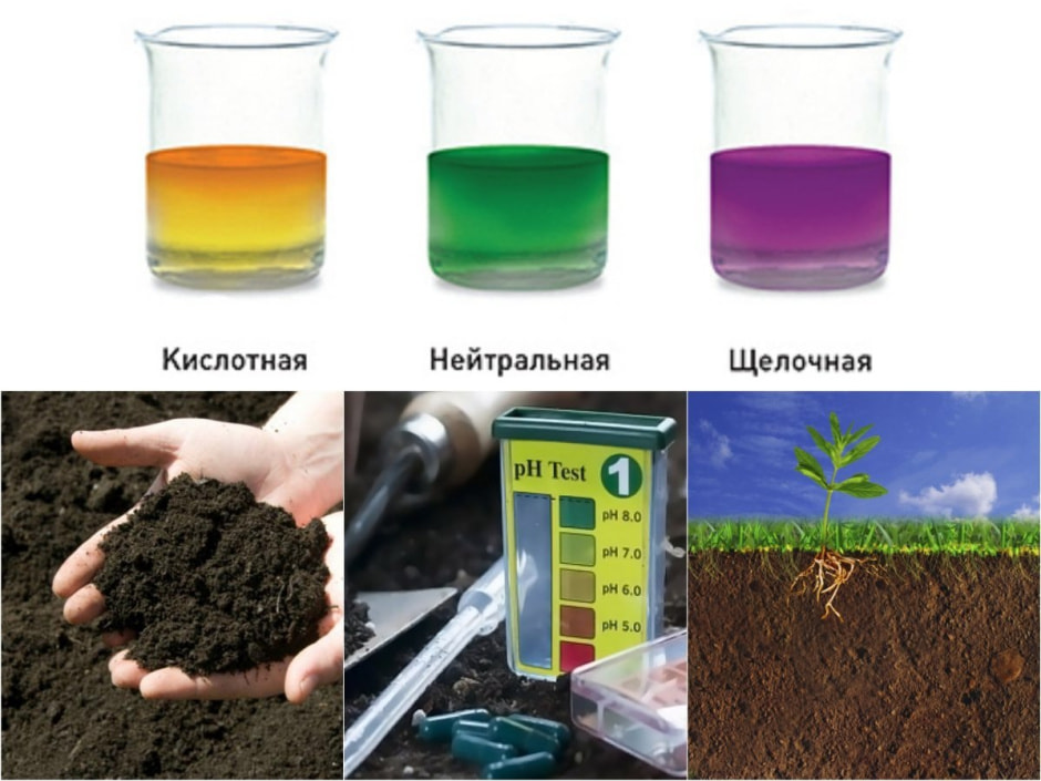 кислотность почвы.jpg