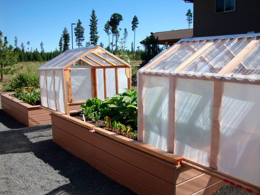 теплица8.jpg