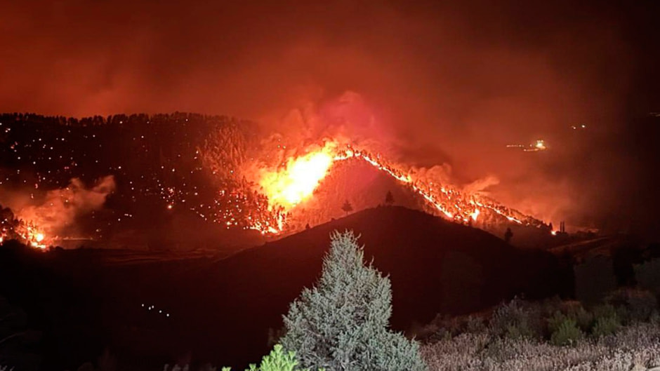 Лесные пожары в Турции 2025