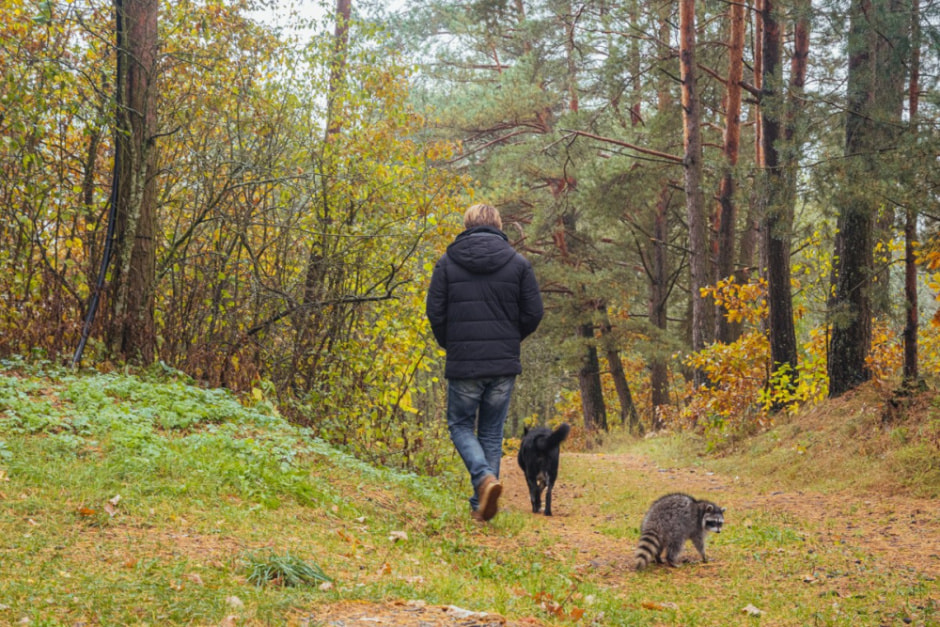 Минчанин переехал на остров в деревню 12.jpg