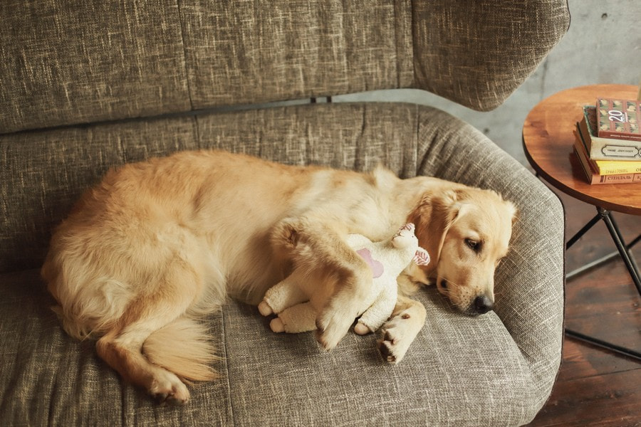 26 - 18.jpg 26 - 18.jpg