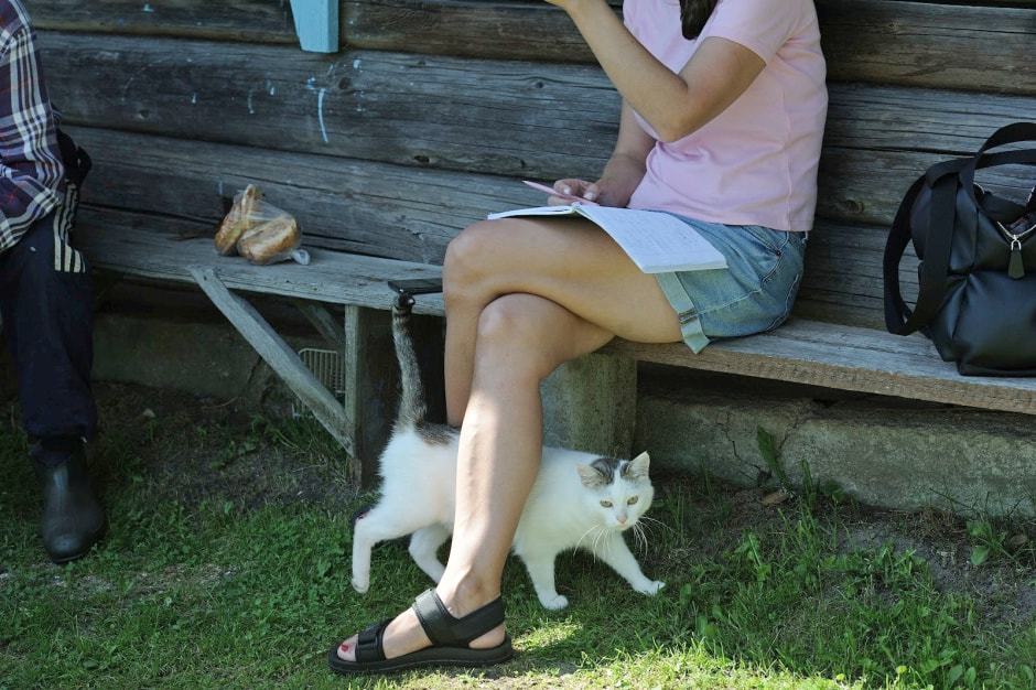 Командировки Смартпресс 18.jpg