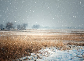 Опять? Холодный ветер и мокрый снег: синоптики объявили оранжевый уровень опасности 23 апреля в Беларуси