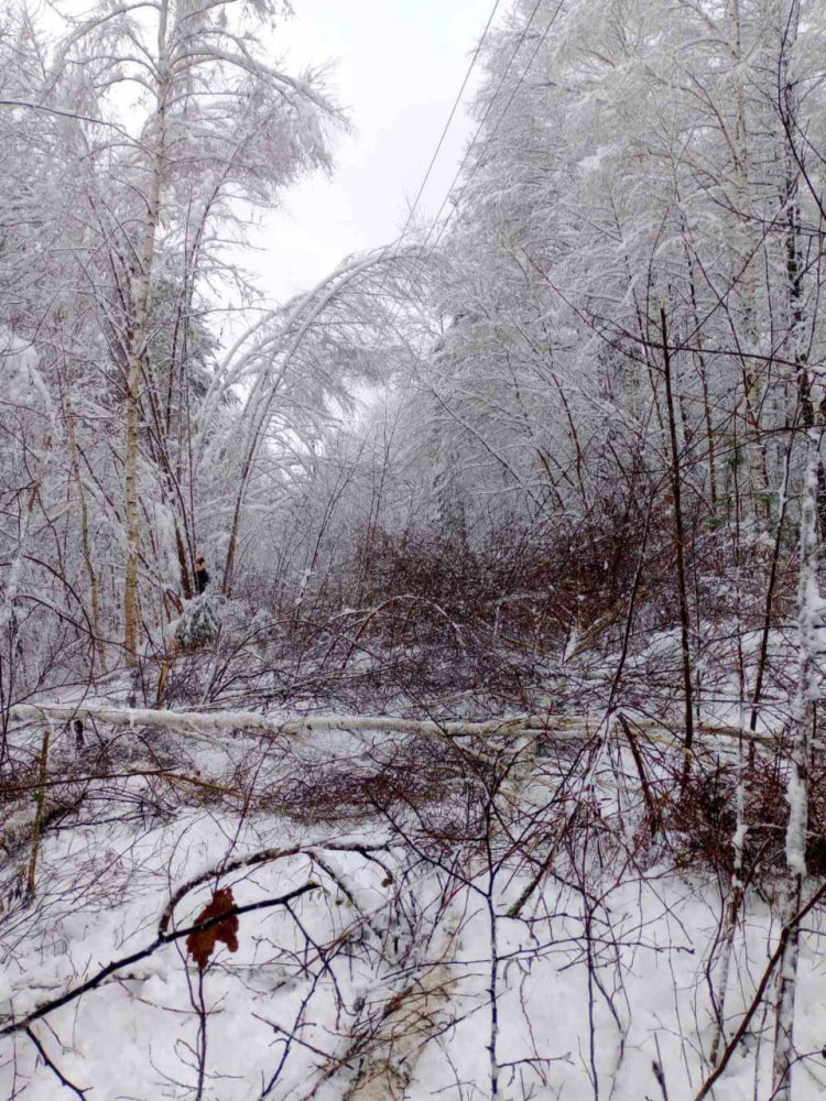 В Могилевской области из-за обильного снегопада без света оставались более 100 населенных пунктов (2).jpg