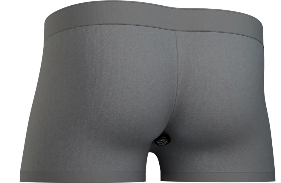 Прототип «умного» нижнего белья. Фото Брантли Холл, Университет Мэриленда