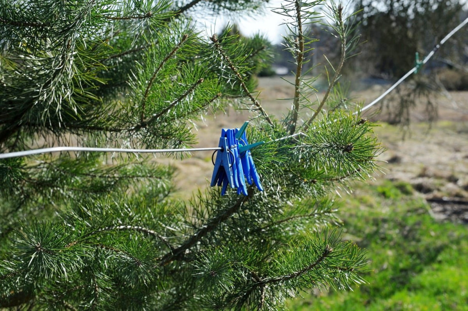 Деревня Чабахи 6.jpg