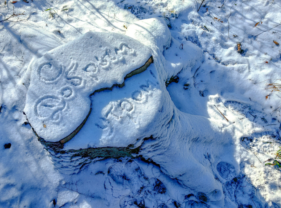 январь сеег.jpg