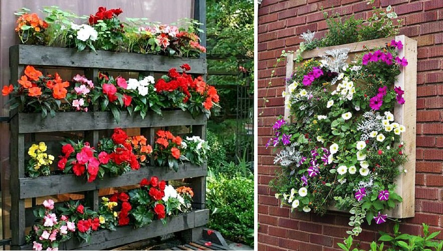 Цветы на даче