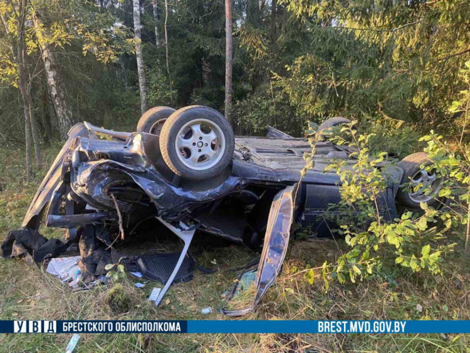 В Брестской области из-за лося перевернулся Volkswagen.jpg