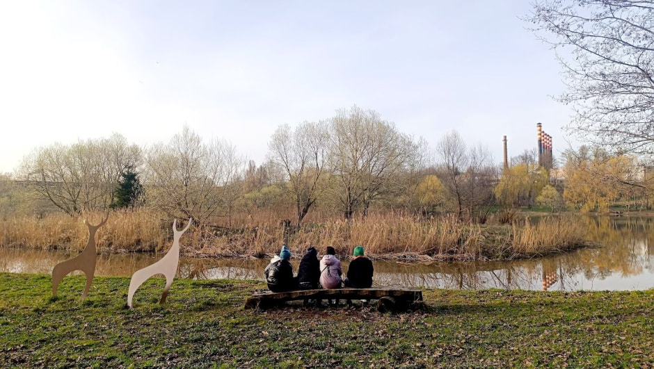 Топ-5 экотроп Минска 5_Белая дача.jpg Топ-5 экотроп Минска 5_Белая дача.jpg