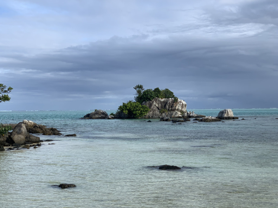 Мадагаскар (19).jpeg Мадагаскар (19).jpeg