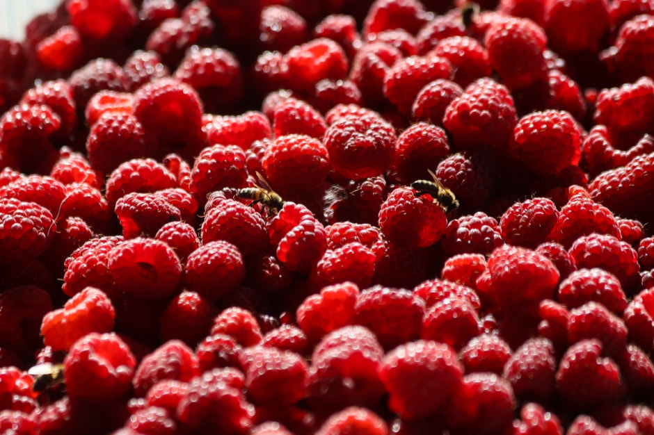 Споровские фермеры из Здитово-62.jpg