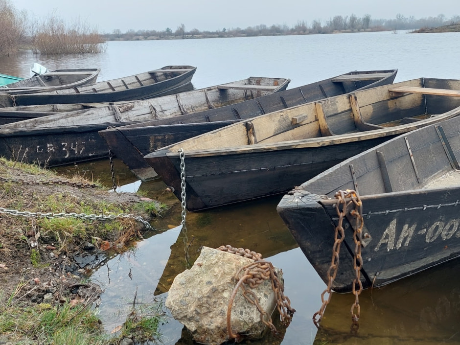 Мать барсуков 1.jpg