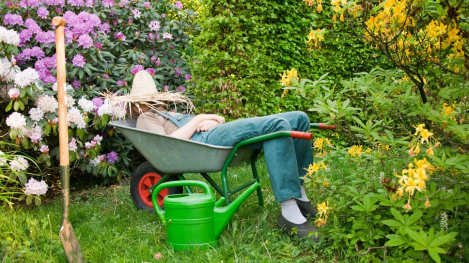 август на даче