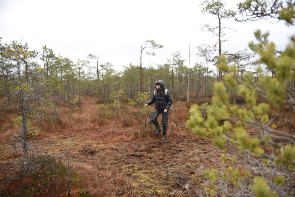 Командировки Смартпресс 1.jpg