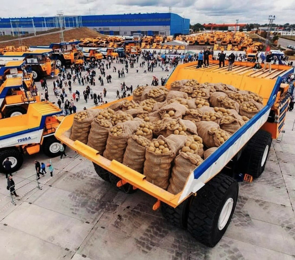 мешки с картошкой