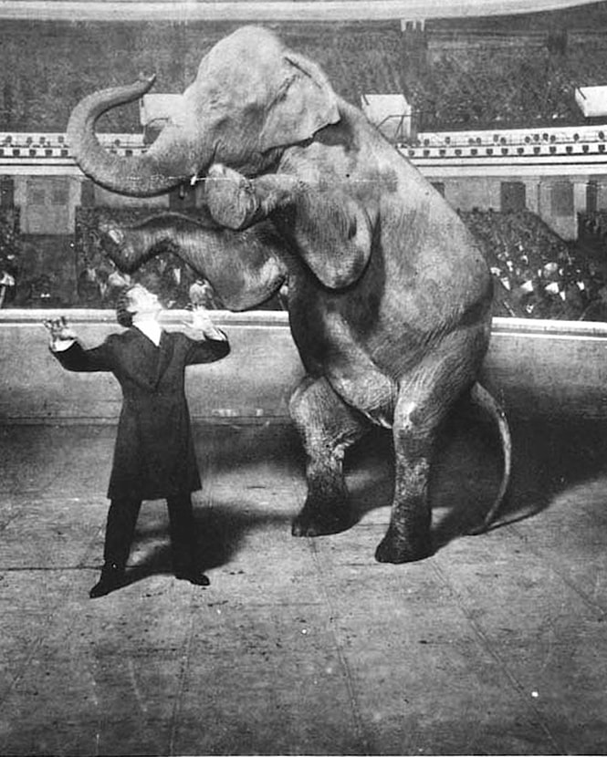 665x830_0xac120003_17935437491628437137.jpg 665x830_0xac120003_17935437491628437137.jpg