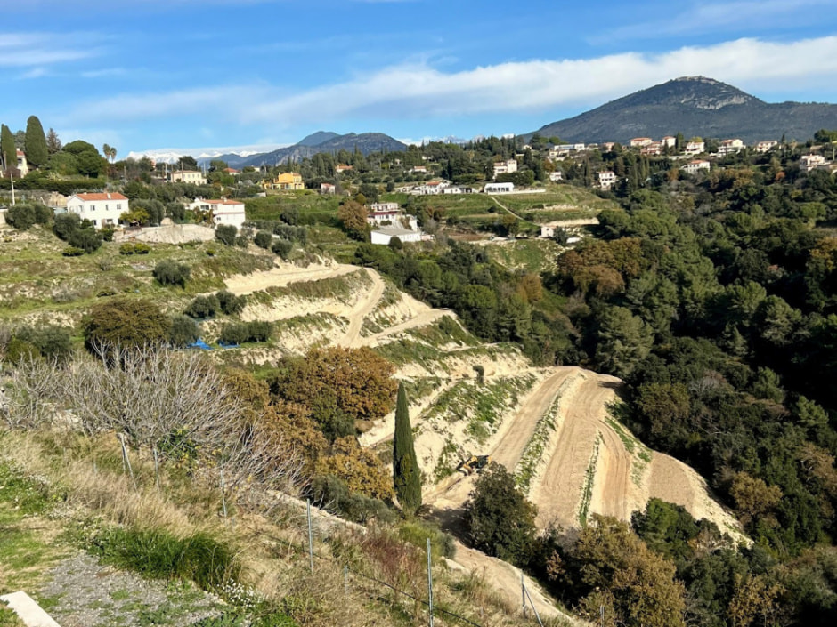 Виноградники Ниццы 10.jpg