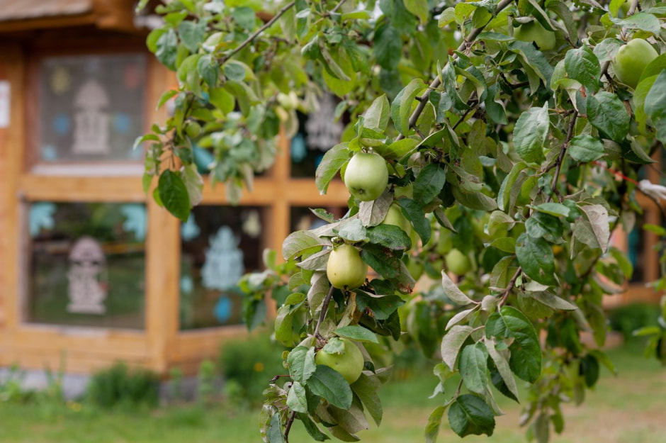 Агроусадьба Стулы и батлейка 9.jpg