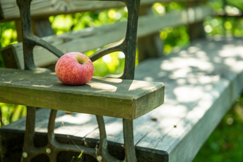 Художник Владимир Цвирко и его путешествия по Беларуси 14.jpg