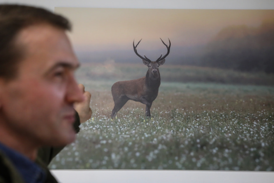 фотовыставка Дикая природа Беларуси 22.jpg