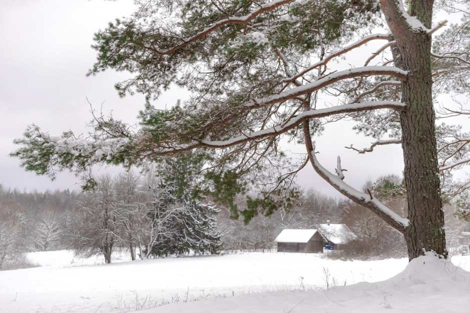 Хутор Скрабатуны 3.jpg