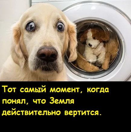 земля-лабрадор земля-лабрадор