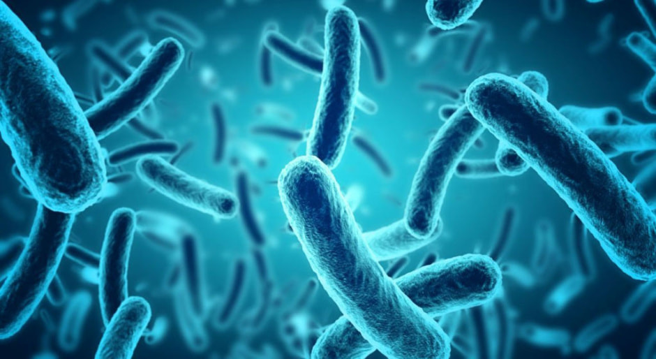 кишечные инфекции.jpg