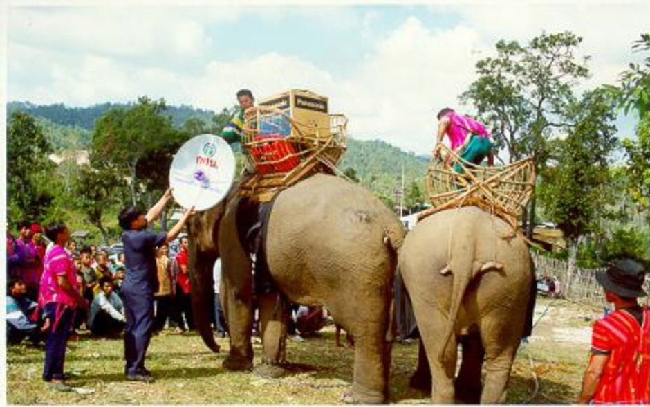 библиотека на слонах.jpg