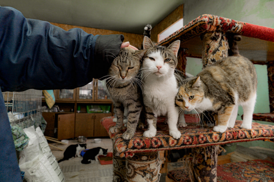 Зимовка аисто в деревне Высокое 9-1.jpg