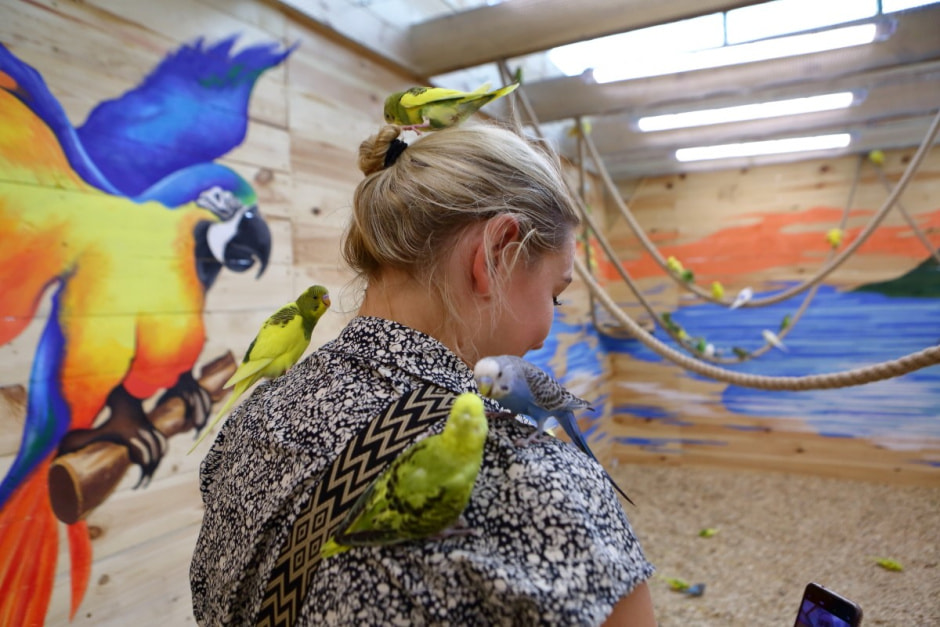 Попугайня в Витебске 18.jpg