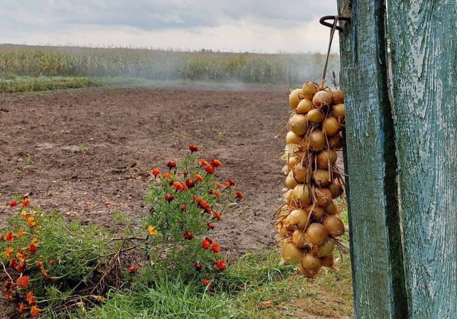 Лето в деревне 5.jpg