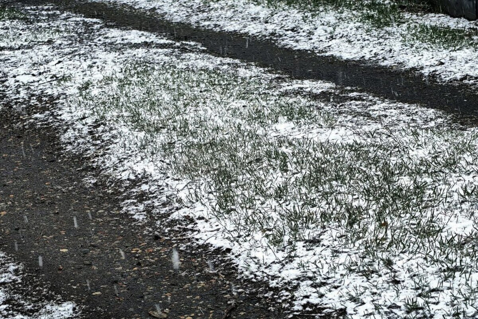 9f40fce8c488aea4c231396a26dc7ca2.jpg 9f40fce8c488aea4c231396a26dc7ca2.jpg