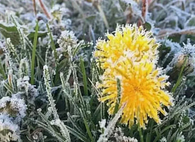 Белорусов накроет морозом. Синоптики объявили штормовое
