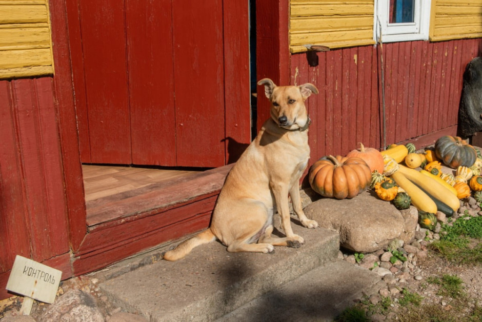 Парень ищет жену в деревне 23.jpg
