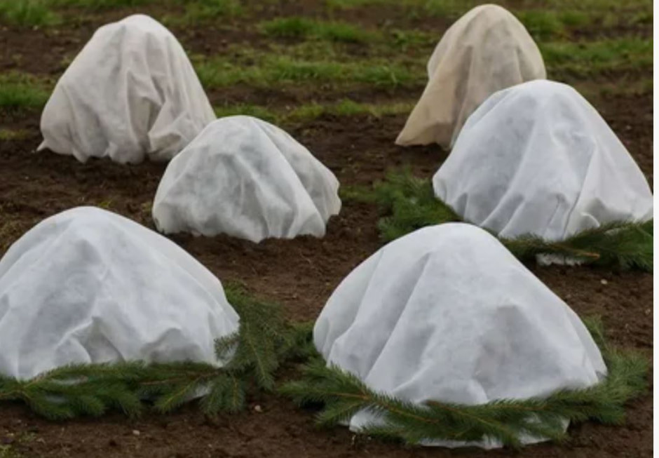 photo_2025-12-07_12-38-37 (2).jpg