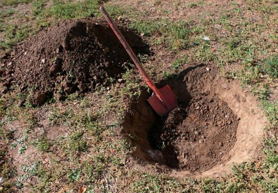 Как подготовить ямки для саженцев 2.jpeg