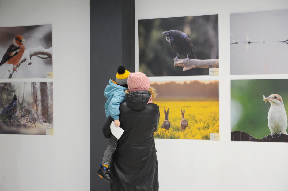 выставка Дикая природа Беларуси 11.JPG