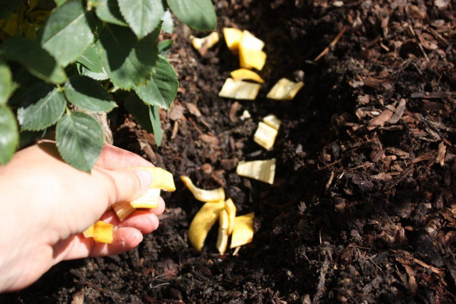 банановая кожура