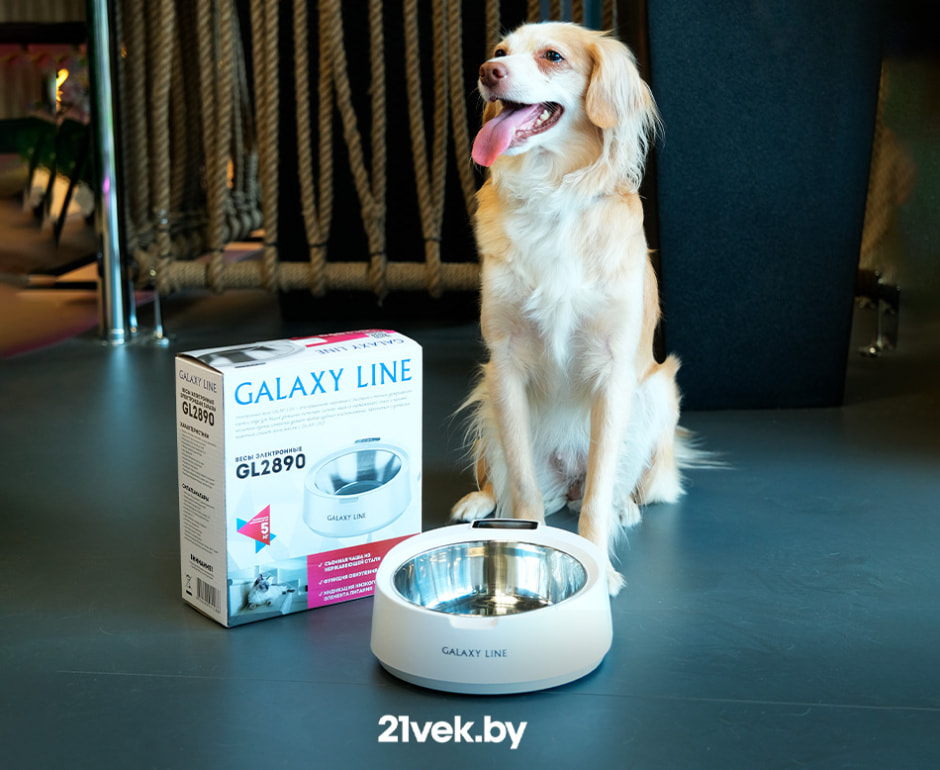 миска-для-собаки.jpg