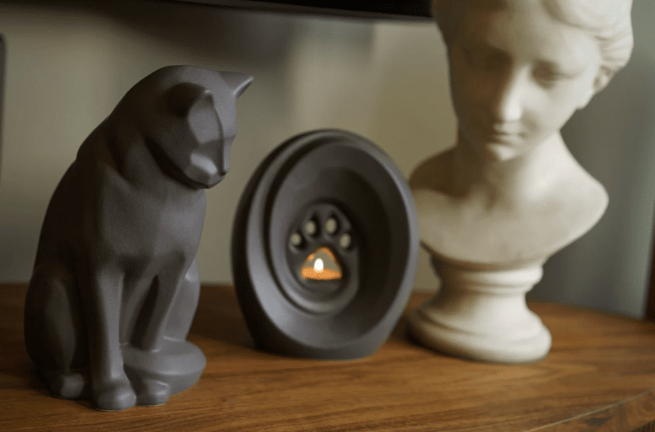 Как похоронить питомца_4.png