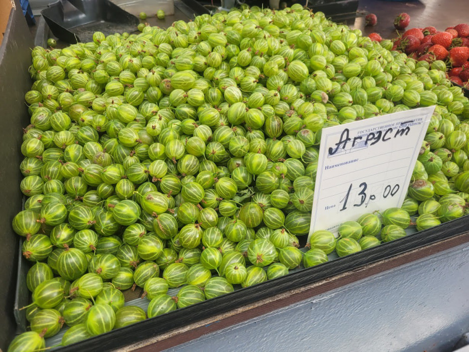 Крыжовник на Комаровке