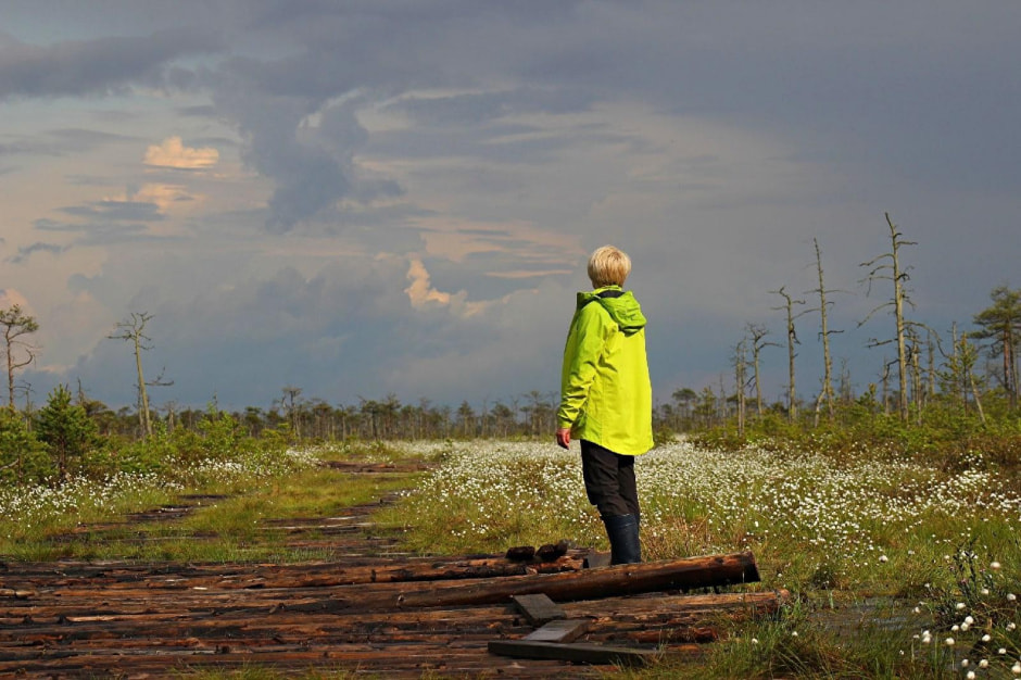 26-На Ельне.jpg